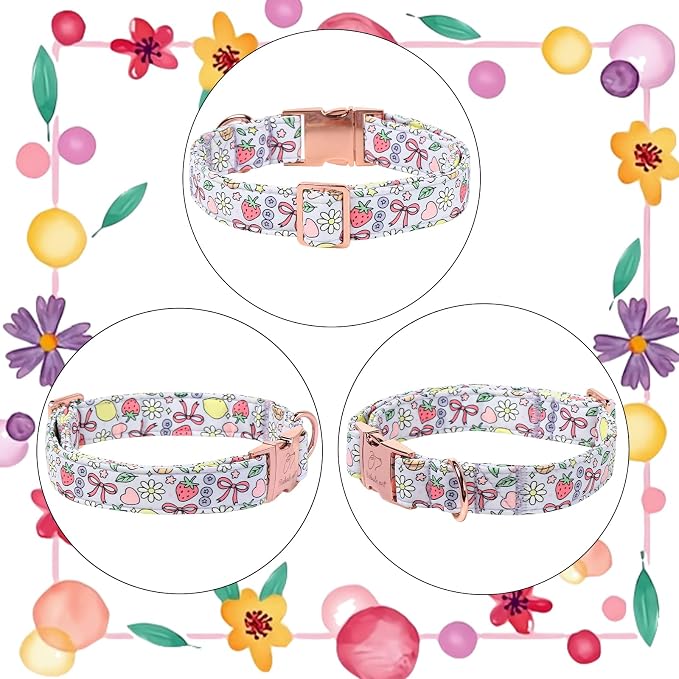Cute Dog Collar, Spring Summer Pastel Dog Collars, Fruit Garden Dream Puppy Collar, Adjustable Heavy Duty Pet Collar for Small Medium Large Dogs with Metal Buckle XL