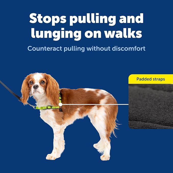 PetSafe Easy Walk Deluxe Dog Harness, No Pull Dog Harness Perfect for Leash & Harness Training Stops Pets from Pulling and Choking on Walks Small, Apple