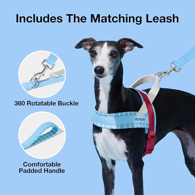 VETRESKA Dog Harness Small Sized Dog, Adjustable No Choke Puppy Harness No Pull, Easy Control Pet Harness Vest for Dogs, Cat, Kitten, Dog Harness with Anti-Tangle Dog Leash Set, Misty Melo XS