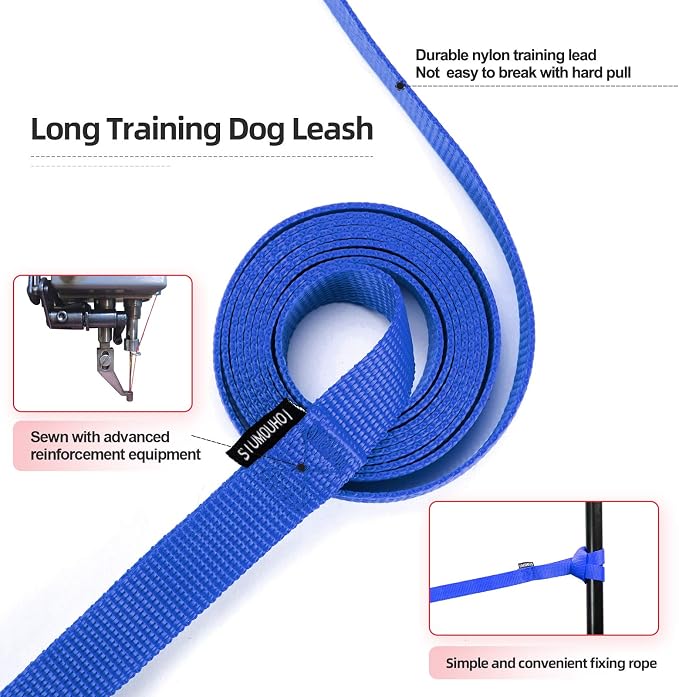Dog/Puppy Obedience Recall Training Agility Lead - 15ft 20ft 30ft 50ft Training Leash - Great for Play, Camping, or Backyard - Blue 20ft