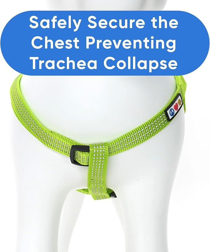 Pawtitas Reflective Step-in Dog Harness – Adjustable No-Pull Vest for Puppies to Seniors, Safe & Comfortable, S Green