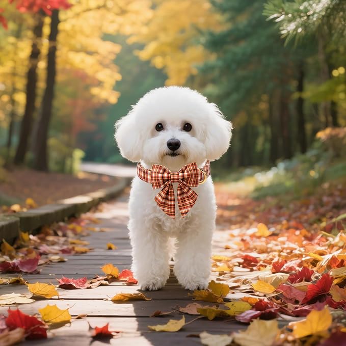 Unique style paws Cartoon Dog Collar with Bowtie Autumn Halloween Plaid Puppy Collar with Colorful Orange Grid for Small Medium Large Boys Girls Dogs