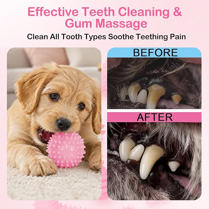 Puppy Toys, 6 Pack Dog Chew Toys for Puppy, Cute Pink Small Dog Toys, Puppy Teething Toys for Puppies, 2026 Upgraded Soft Durable Interactive Chew Toy for Small Dogs