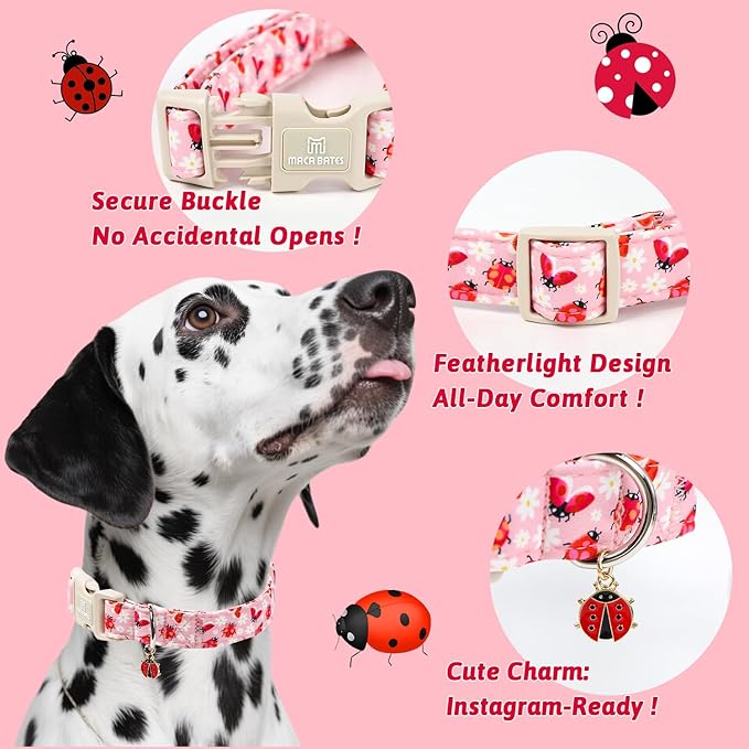 Maca Bates Spring Pink Basic Dog Collar with Ladybug Charm for Small Girl Boy Dogs, Ladybugs Pattern,Pretty Adjustable Durable Soft Collars Gift for Male Female Puppy
