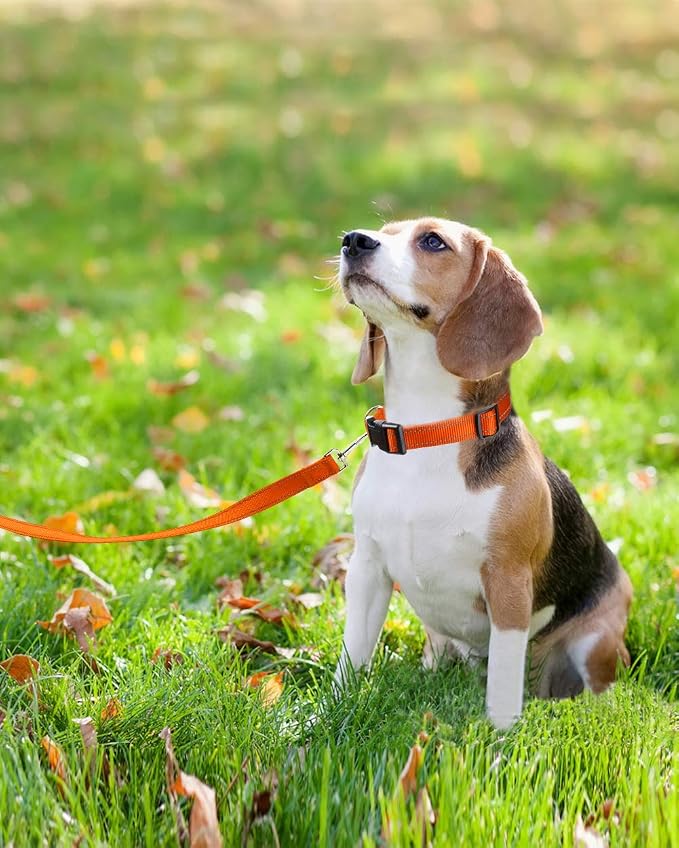 FunTags 6FT Orange Reflective Dog Leash for Large & Medium Dogs Walking, Soft Padded Handle Comfortable Grip, Heavy Duty Nylon, Reflective for Night Walking, 1in Wide