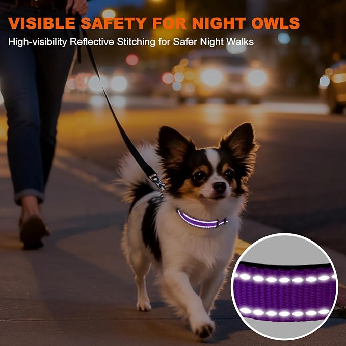 Taglory Reflective Dog Collar for Puppies with Escape-Proof Locking Buckle, Soft Neoprene Padded and Upgraded Zinc Alloy Ring, Adjustable for Chihuahua Yorkie, Purple,XS