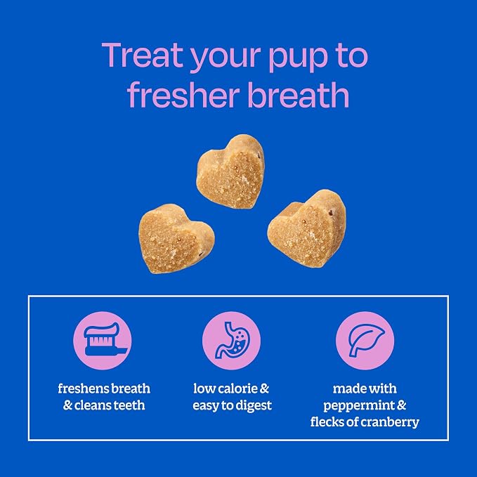 ARK Naturals Breath Bursts Brushless Toothpaste Dog Treats, Dog Dental Bits for Small Breeds, Unique Texture Helps Clean Teeth & Freshen Breath, Peppermint, 4 oz, 1 Pack