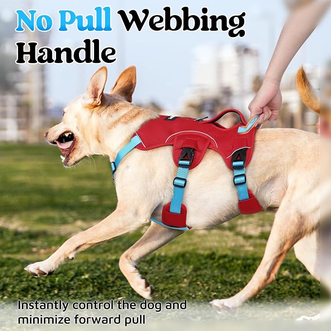 rabbitgoo Escape Proof Dog Harness Large Dogs, Soft Padded Full Body Pet Harness, Reflective Adjustable No Pull Vest with Lift Handle and Leash Clip for Walking Hiking Training, Blue & Red, XL