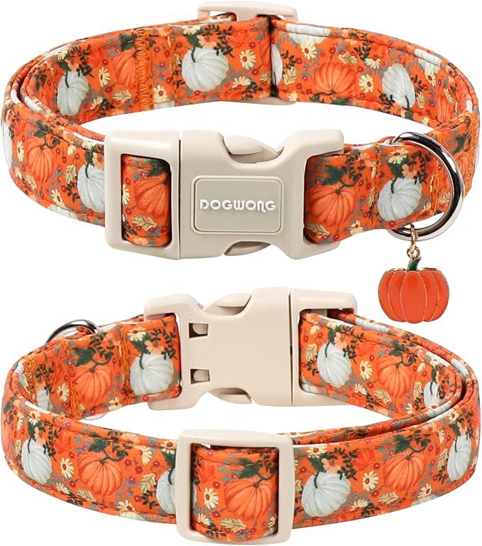 DOGWONG Fall Pumpkin Dog Collar- Cute Daisy Pumpkin Dog Collars Adjustable Orange Halloween Thanksgiving Dog Collar for Small Medium Large Dogs XL