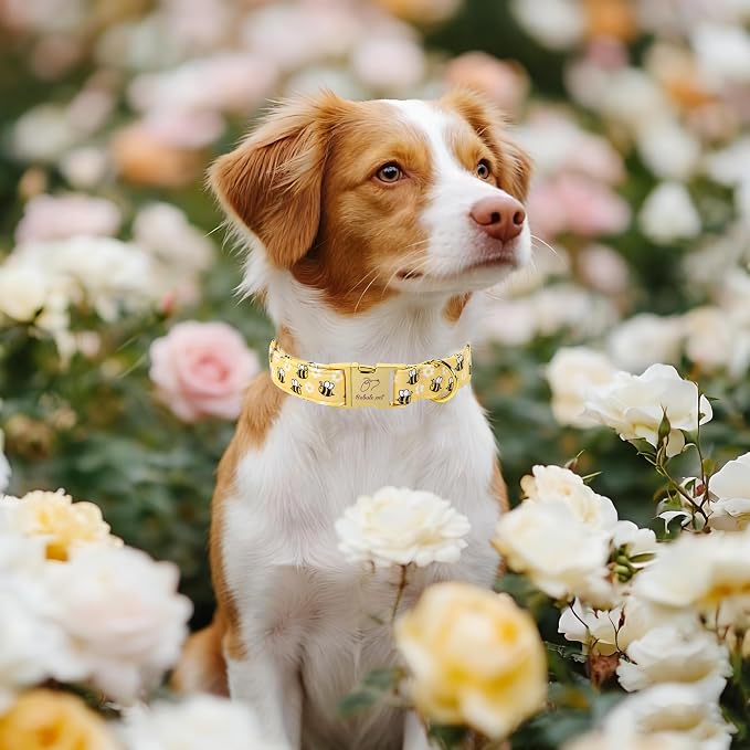 Yellow Bee Dog Collar, Cute Spring/Summer Cartoon Boy Girl Dog Collars, Adjustable Heavy Duty Male Female Dogs Collar for Small Medium Large Dogs with Metal Buckle XS