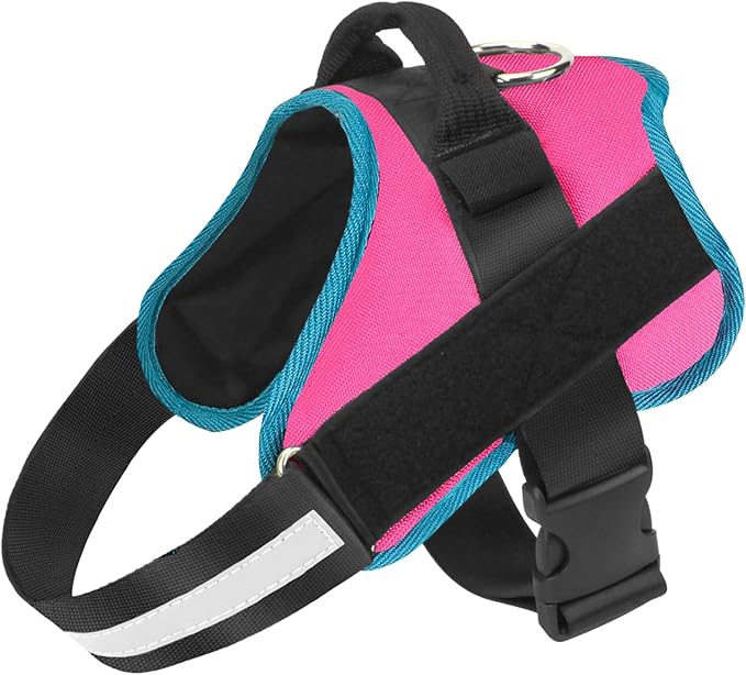 Dog Harness, No-Pull Reflective Dog Vest, Breathable Adjustable Pet Harness with Handle for Outdoor Walking - No More Pulling, Tugging or Choking Small (Pack of 1) RoseTurquoise