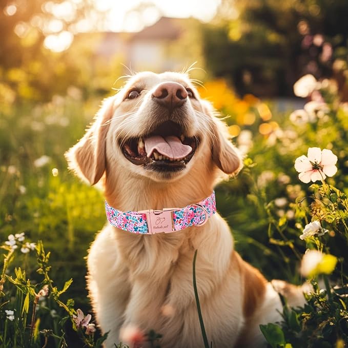 Floral Dog Collar, Cute Spring Summer Girl Dog Collars - Soft Adjustable Everyday Collars for Small Medium Large Dogs, Rustic Wildflowers Female Dogs Collar S