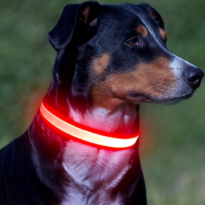 Vizpet LED Dog Collar, Light Up Dog Collar Adjustable USB Rechargeable Super Bright Safety Light Glowing Collars for Dogs(Large,Red)