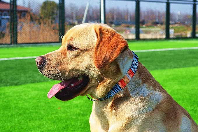 Mihqy Dog Collar with Bohemia Floral Tribal Geometric Patterns - Soft Ethnic Style Collar Adjustable for Small Medium Large Dogs（Bohemian Orange,M）