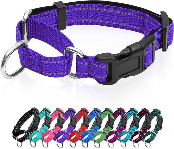 Reflective Martingale Dog Collars. Dog Collar with Quick Release Buckle. Adjustable Soft Padded Breathable Nylon Pet Collar Suitable for Puppies for Small Medium Large Dogs.