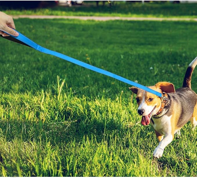 FunTags 4FT Sky Blue Reflective Dog Leash for Medium & Small Dogs Training, Soft Padded Handle Comfortable Grip, Heavy Duty Nylon, Reflective for Night Walking, 3/4in Wide