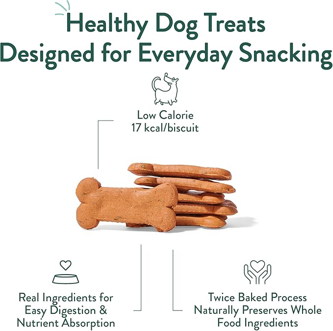 Portland Pet Food Company Apple & Mint Dog Treats Healthy Biscuits for Small Medium & Large Dogs - Grain-Free, Human-Grade, All Natural Dog Cookies, Snacks & Training Treats - Made in the USA - 5 oz