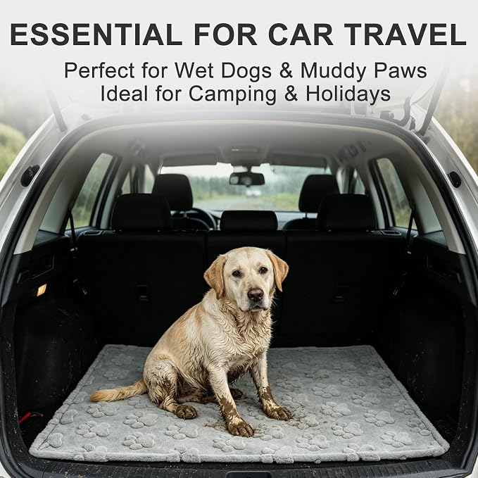 BEAUTYZOO Waterproof Dog Blankets for Large Dogs, Dog Blanket for Couch Sofa Bed, Super Soft Premium Coral Fleece Throw Cat Puppy Blanket, Reversible Furniture Protector, Washable Pet Blanket 40x60IN