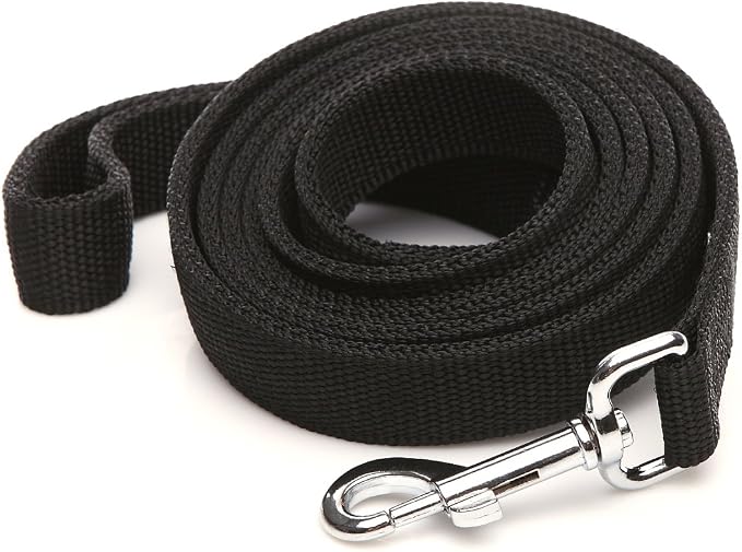 Nylon Dog Leash with 2-Layer, 4 FT/ 6 FT/ 7FT Long, 1 Inch Wide for Medium Large Dogs