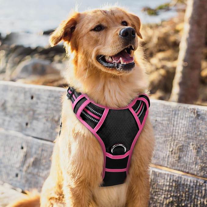 rabbitgoo Dog Harness for Large Dogs, 3 Buckles Easy On & Off No Pull Pet Vest, Soft Padded Walking Pet Harness with Control Handle, Adjustable and Reflective, Black & Rose Pink, XL