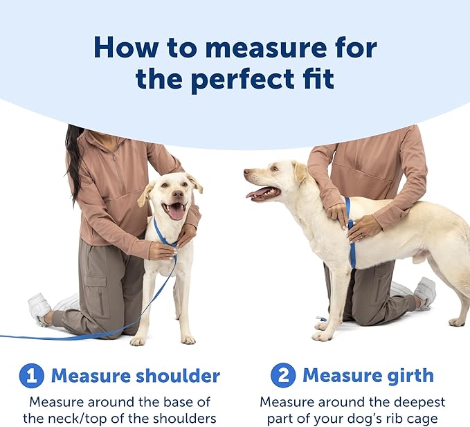 PetSafe Easy Walk Comfort No-Pull Dog Harness Padding - Better Walks on 1st Use - 5 Points of Adjustment Large, Green Gingham