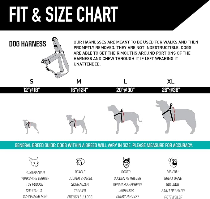 Wolfgang Heavy Duty Adjustable Dog Harness, Pull-Tested to Over 800 lbs for Walking & Training, Daydream Print, Medium