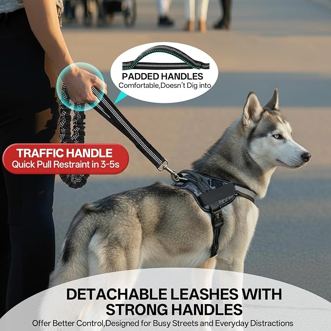 Hands Free Double Dog Leash for Two Dogs,240LB Heavy Duty Retractable with Partitioned Pouch Adjustable Waist for Walking Running Jogging Hiking Biking Training for Medium/Large(Not for＜25LBS)