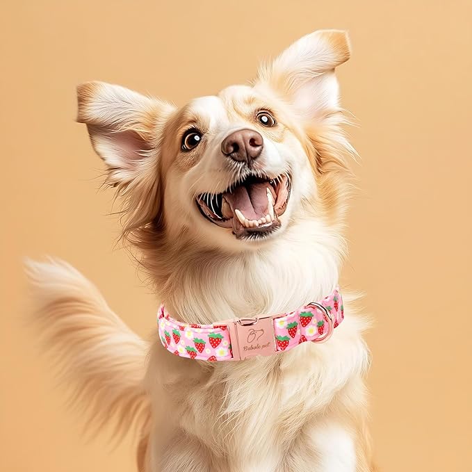 Strawberry Dog Collar for Large Dogs - Adjustable Spring Summer Pink Girl Dog Collars, Cute Girly Female Pet Collar with Metal Buckle L