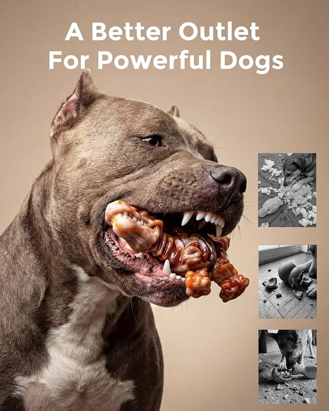 DinoBone Dog Chew Toys for Aggressive Chewers, 2 Pack Tough Nylon Dinosaur Bones for Large Dogs 20–90 lbs, Long Lasting Chewing Outlet, Helps Redirect Destructive Chewing, Bacon Flavor