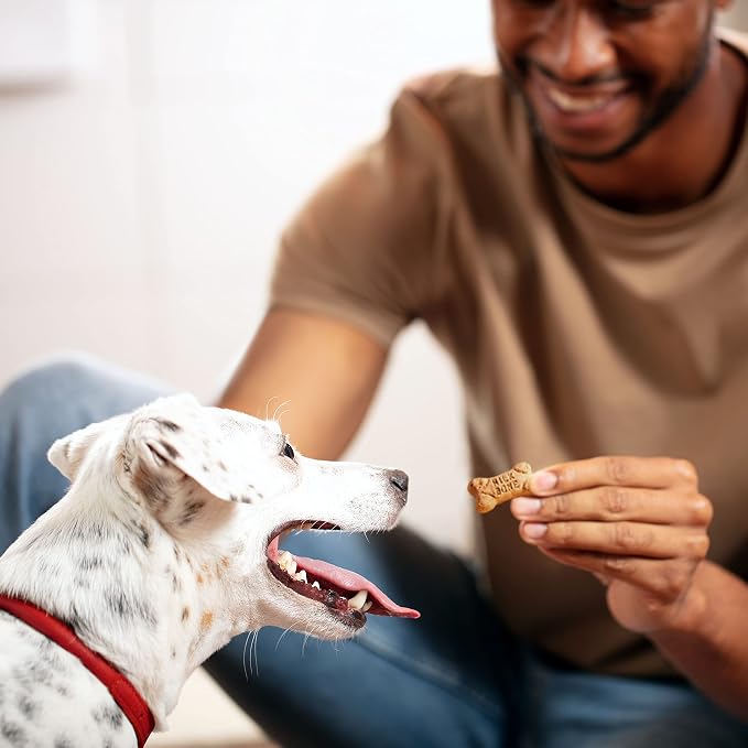 Milk-Bone Dog Treats Bundle: Soft & Chewy Chicken 25 Ounce + Flavor Snacks Mini's Dog Biscuits 36 Ounce