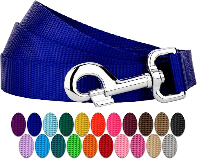 Country Brook Petz - Everyday Nylon Dog Leash - Strong, Durable, Solid Color Leash with Easy to Use Snap - 25+ Colors (1 Inch Wide, 6 Foot, Bright Royal Blue)
