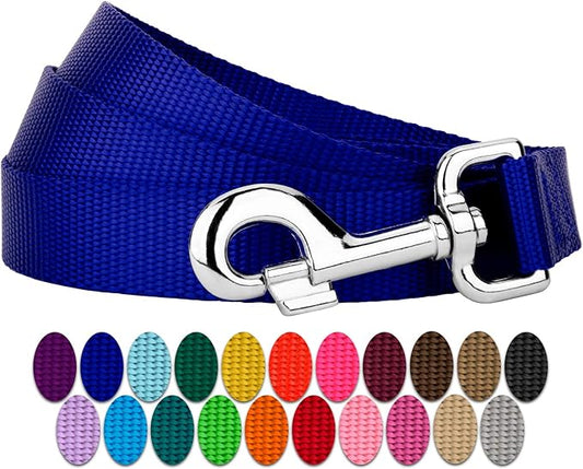 Country Brook Petz - Everyday Nylon Dog Leash - Strong, Durable, Solid Color Leash with Easy to Use Snap - 25+ Colors (1 Inch Wide, 6 Foot, Bright Royal Blue)