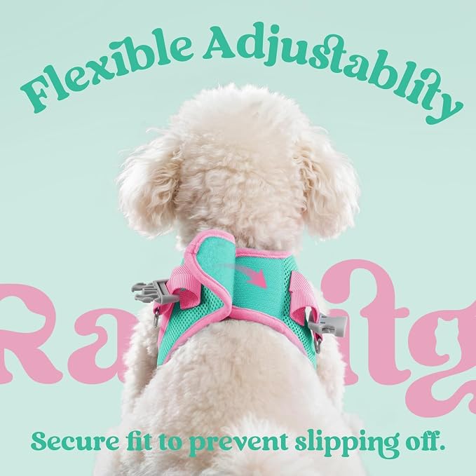 rabbitgoo Dog Harness Small Sized and Leash Set, Step-in Breathable Pet Harness, Soft Walking Reflective Puppy Vest for Small Dogs, Teal & Pink, L