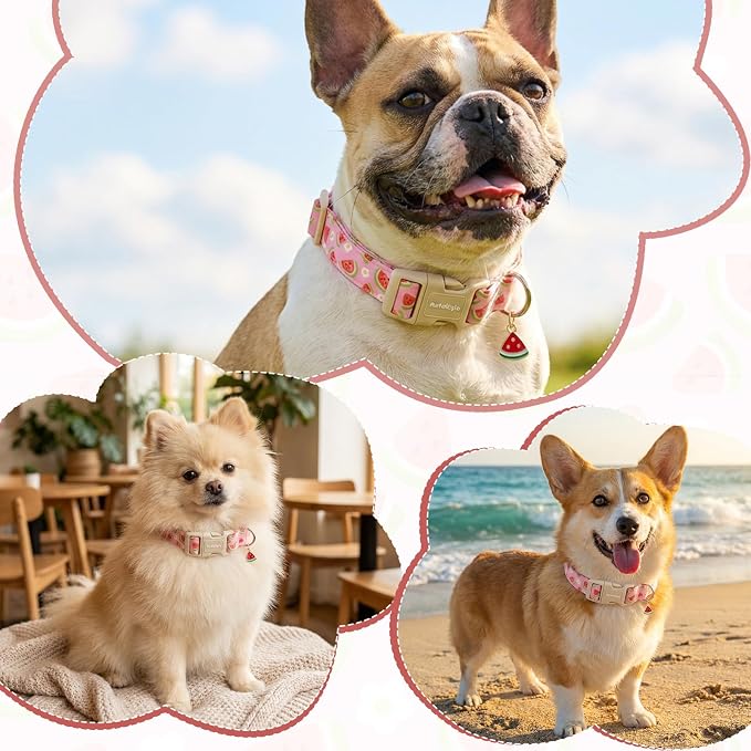 Pink Dog Collar with Watermelon for Summer,Adjustable Cotton Puppy Collars for Small Medium Large Dogs, Cute Girl or Boy Dog Collar Ideal for Gifts,Pet Accessory,L