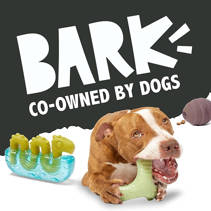 Barkbox Coral Teef Dog Toy | Wacky Bounce | Dog Toy for Aggressive Chewers