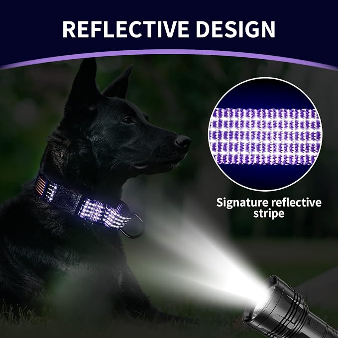 Martingale Collar for Training Dogs. Adjustable Reflective Collars with Buckle-USA Flag- NO Pull-Prevents Slipping Out, for Medium Large XL Dogs. Helps with Strong pullers(L, Blue)