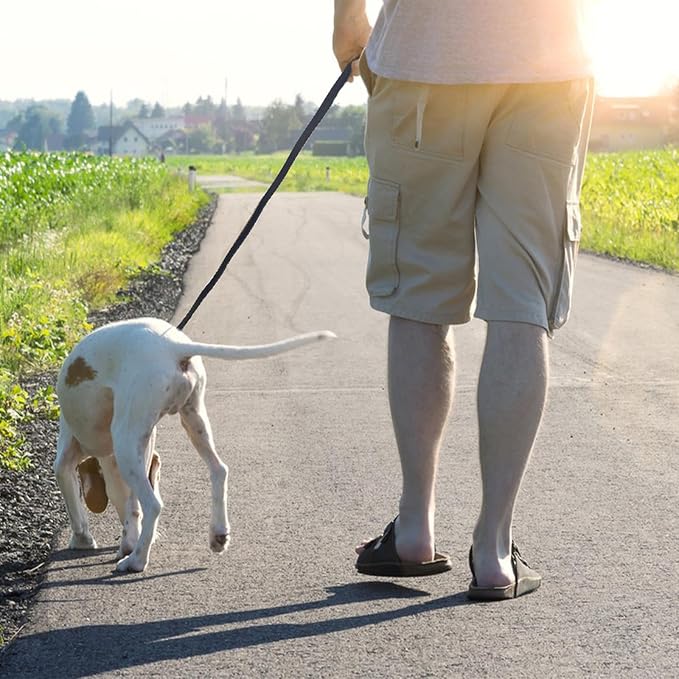 Leather Dog Leash 5ft x 3/4 inch, Heavy Duty Leather Braided Dog Training Leash, Strong and Comfortable Leashes for Large, Medium, Small Dogs Black