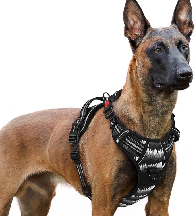 rabbitgoo Dog Harness for Large, No Pull Easy On & Off with 3 Buckles Pet Harness, Adjustable Soft Walking Vest with 2 Clips and Handle, Reflective for Extra Large Dogs, Mountain Black, XL
