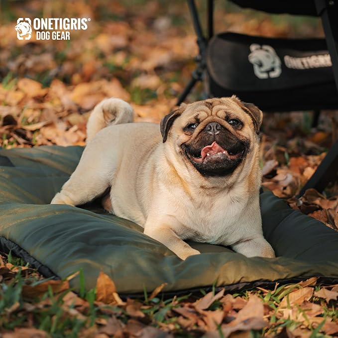 ONETIGRIS Large Dog Bed Washable Matteress Anti Slip Cushion for Pets Sleeping, 3.6ft by 2.2ft Water-Resistant Pet Bed for Indoor Outdoor(Green,L)