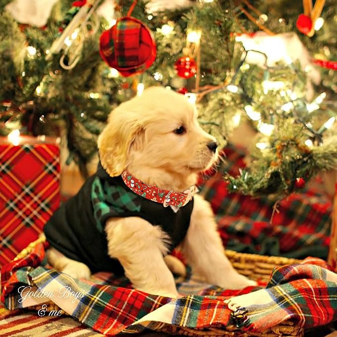 Christmas Dog Collar for Medium Dogs - Design Cute Winter Holiday Collars Adjustable Red Christmas Pet Metal Buckle Collar for Puppy Girl Boy Female Dogs M