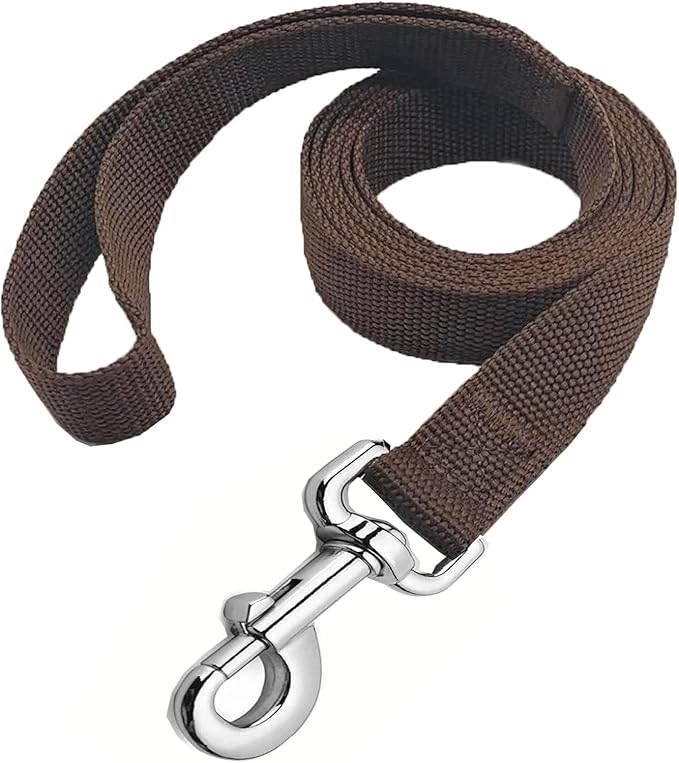 Strong Nylon Dog Leash, 4FT/ 5 FT/ 6FT Dog Leashes for Small Medium Dogs