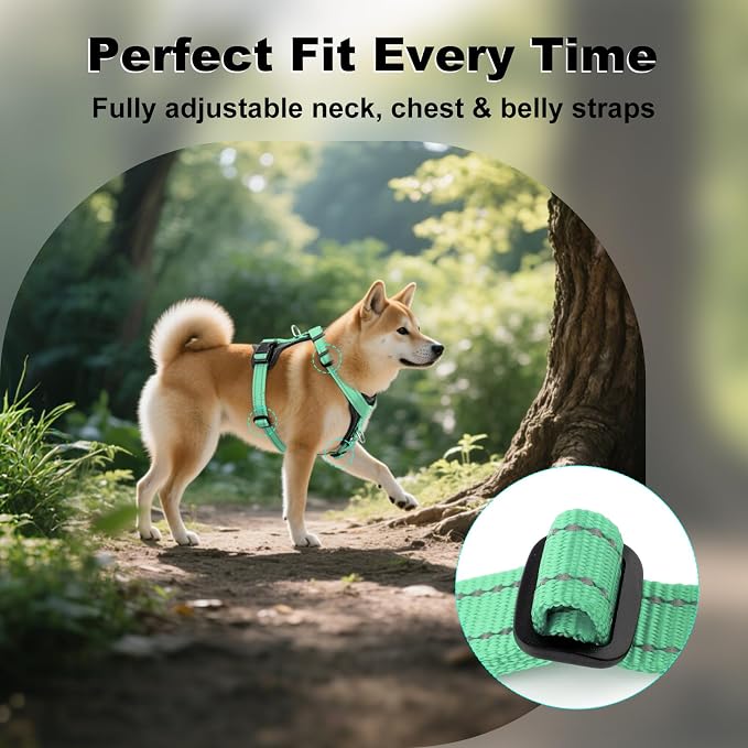 Plutus Pet Adjustable No Pull Dog Harness with Leather Accents, Heavy Duty Reflective Nylon Vest for Training, Hiking, Easy Walk Harness for Small, Medium, Large Dogs (Teal, M)