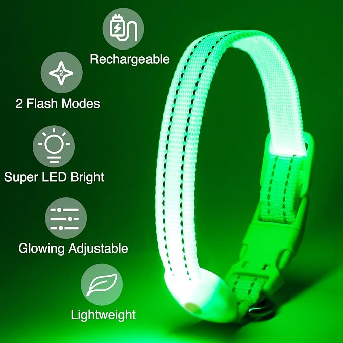 Light Up Dog Collar, Rechargeable USB Collar, Waterproof, Luminous LED Collar, Adjustable, Super Bright, Night Walking for Small Medium Large Dogs, Green, S