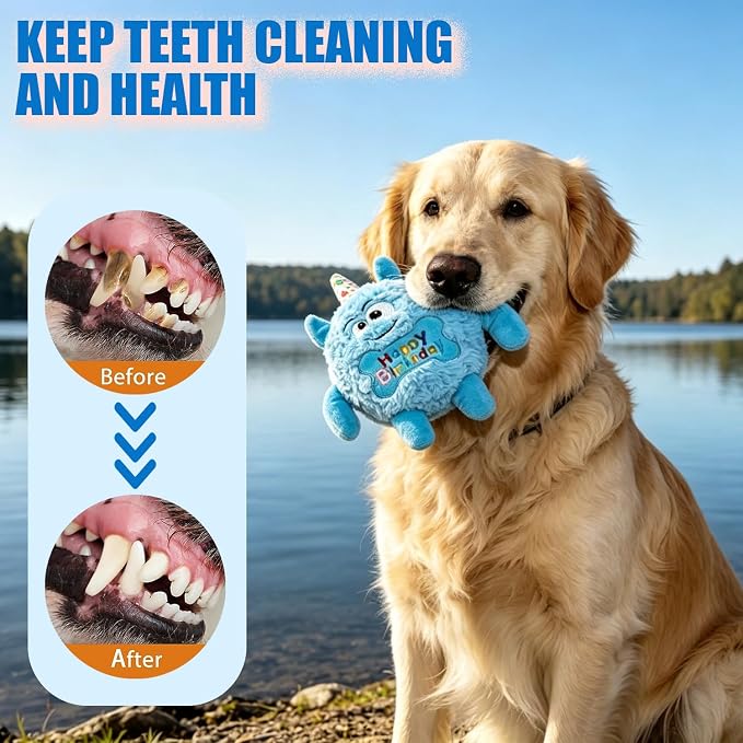 Plush Dog Birthday Toy for Girl Boy Gifts, Crinkle Squeaky Dog Toy Keep Them Busy Tug of War Stuffed Dog Chew Toy for Small Medium Large Dogs (Sky Blue)