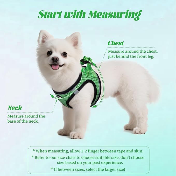 YIMEIS Dog Harness and Leash Set, No Pull Soft Mesh Pet Harness, Reflective Adjustable Puppy Vest for Small Medium Large Dogs, Cats (Grass Green, X-Small (Pack of 1)