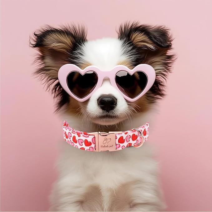 Valentines Dog Collar, Pink Heart Print Girl Dog Collars, Cute Valentine Puppy Collars, Adjustable Heavy Duty Pet Collar for Small Medium Large Dogs with Metal Buckle XL