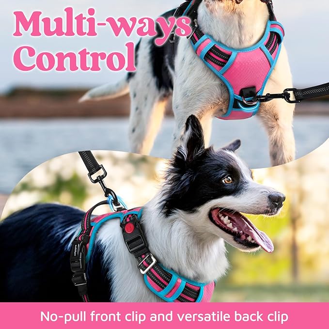 rabbitgoo Dog Harness for Large Dogs, 3 Buckles Easy On & Off No Pull Pet Vest, Soft Padded Walking Pet Harness with Control Handle, Adjustable and Reflective, Rose Pink & Blue, L