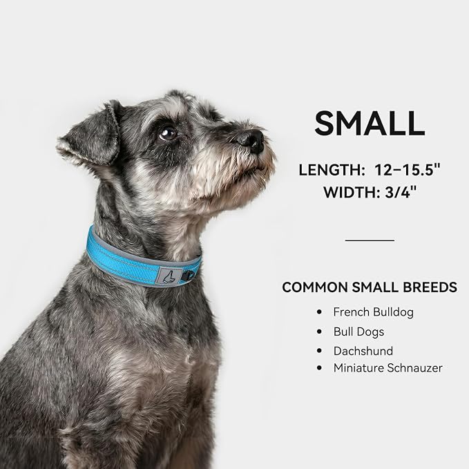 Joytale Dog Collar for Small Dogs, Neoprene Padded and Adjustable, Reflective Wide Heavy Duty Pet Collars with Durable Metal Belt Buckle for Walking, Sky Blue, S