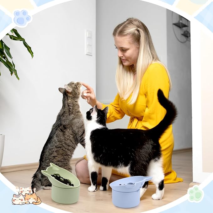 Funnymoom 2 Pack Silicone Cat Slow Feeder, Elevated Slow Feeder Cat Bowl for Dry and Wet Food, Tilted Design with Non Slip Base, Adjustable Angle for Pet(Green and Blue)
