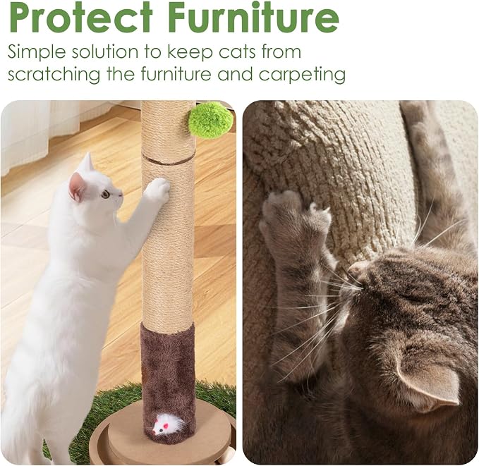 Cat Scratching Post, 35 Inch Tall Cat Scratcher Cat Tree Tower with Hanging Ball for Indoor Cats Adults,Sisal Rope Kitten Scratch with Interactive Mouse Cat Toy (41in, Monstera)